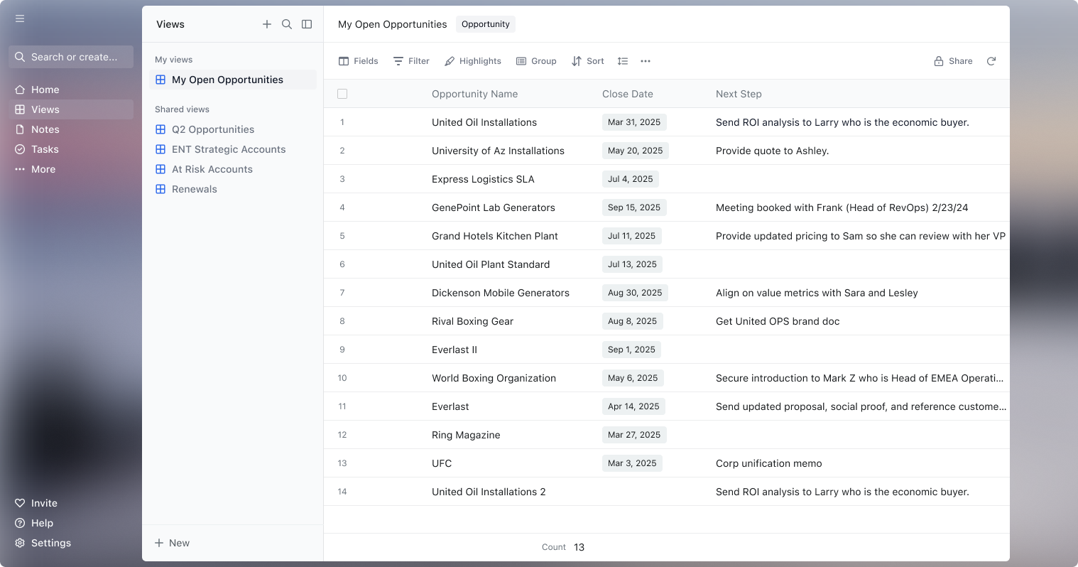 Scratchpad sheet view of open opportunities connected to Salesforce